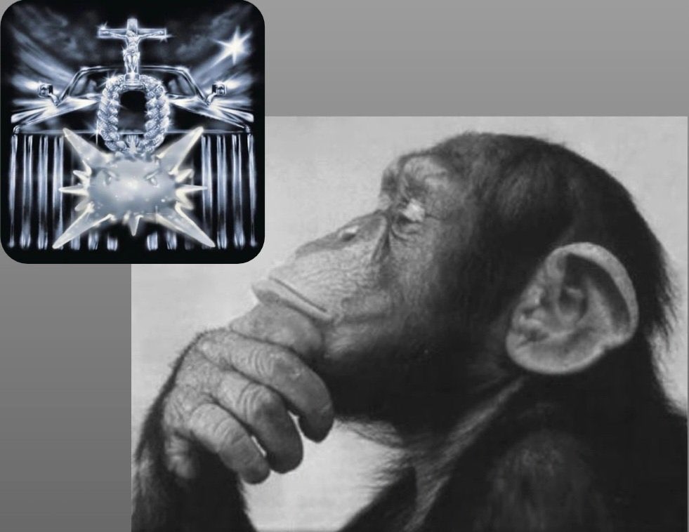 professional overthinker tweet media