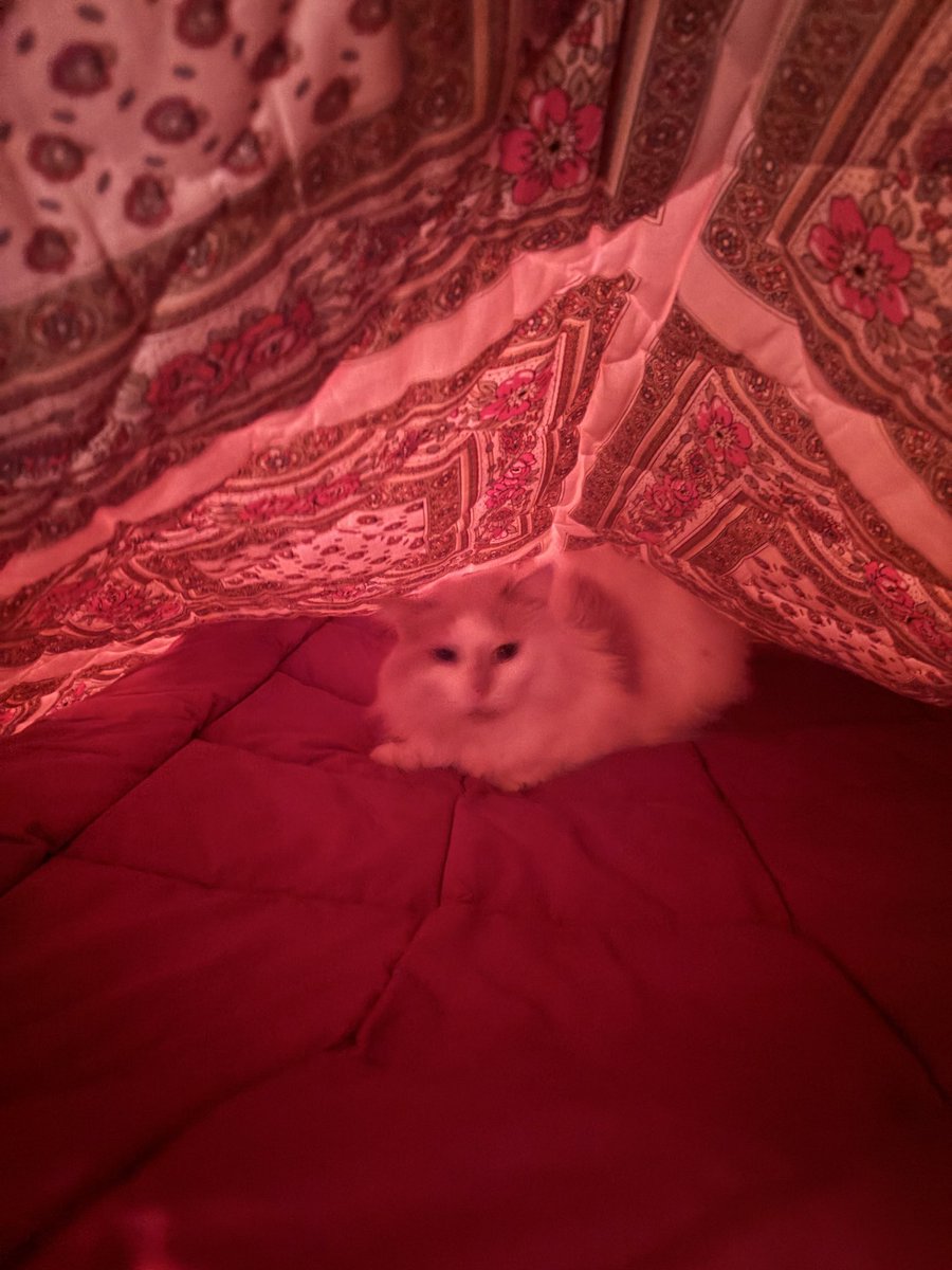 mikado tu penses pas que tu empiète un peu sur mon espace personnel tu prends la moitié du lit mon bb…….