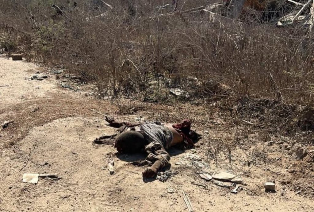 <a href="/mog_china/">الصين بالعربية</a> و هل هذا مشهد عادي؟