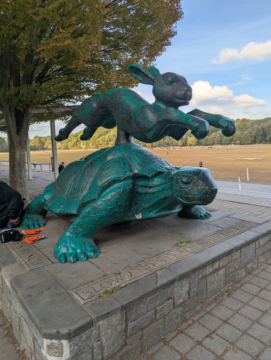 Unfortunately i've depicted you as the slow tortoise and me as the fast hare