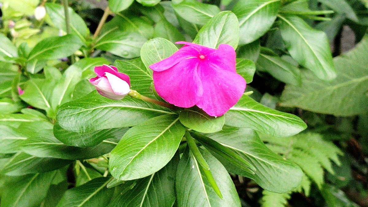 ponta61 (@ponta61104) / Posts / X