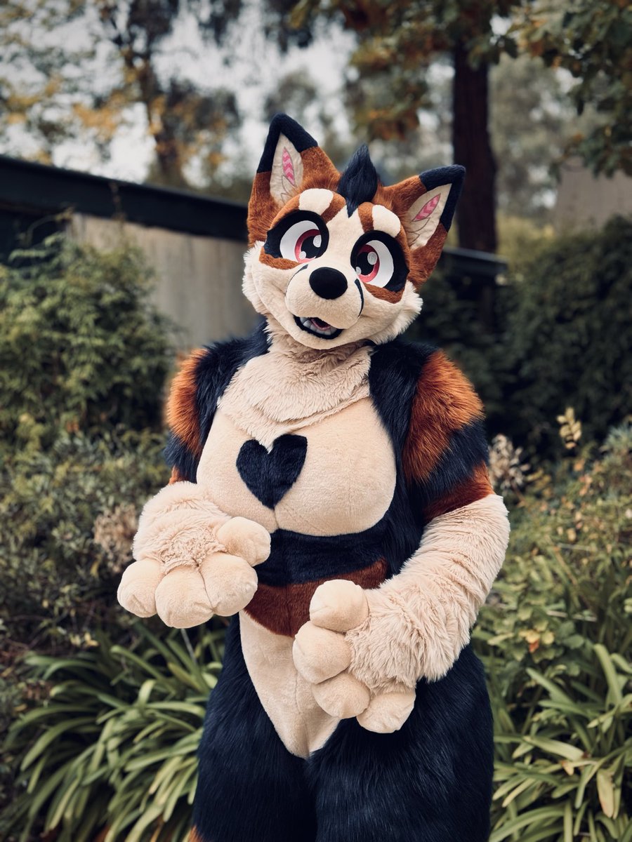 Ref by <a href="/SkylarDoodles/">SkylarDoodles @Bsky🔞</a> ♥️
Fursuit by <a href="/8Bit_Works/">Eight 👾 Bit</a> ♥️