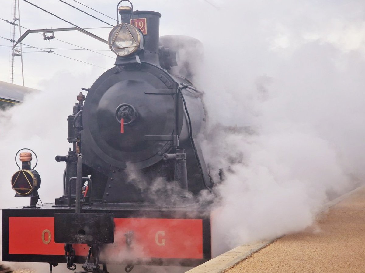 Festa del tren 2025.

Museu del ferrocarril de Mora la Nova.

<a href="/mferrocarrilmln/">Museu del Ferrocarril a Móra la Nova</a>