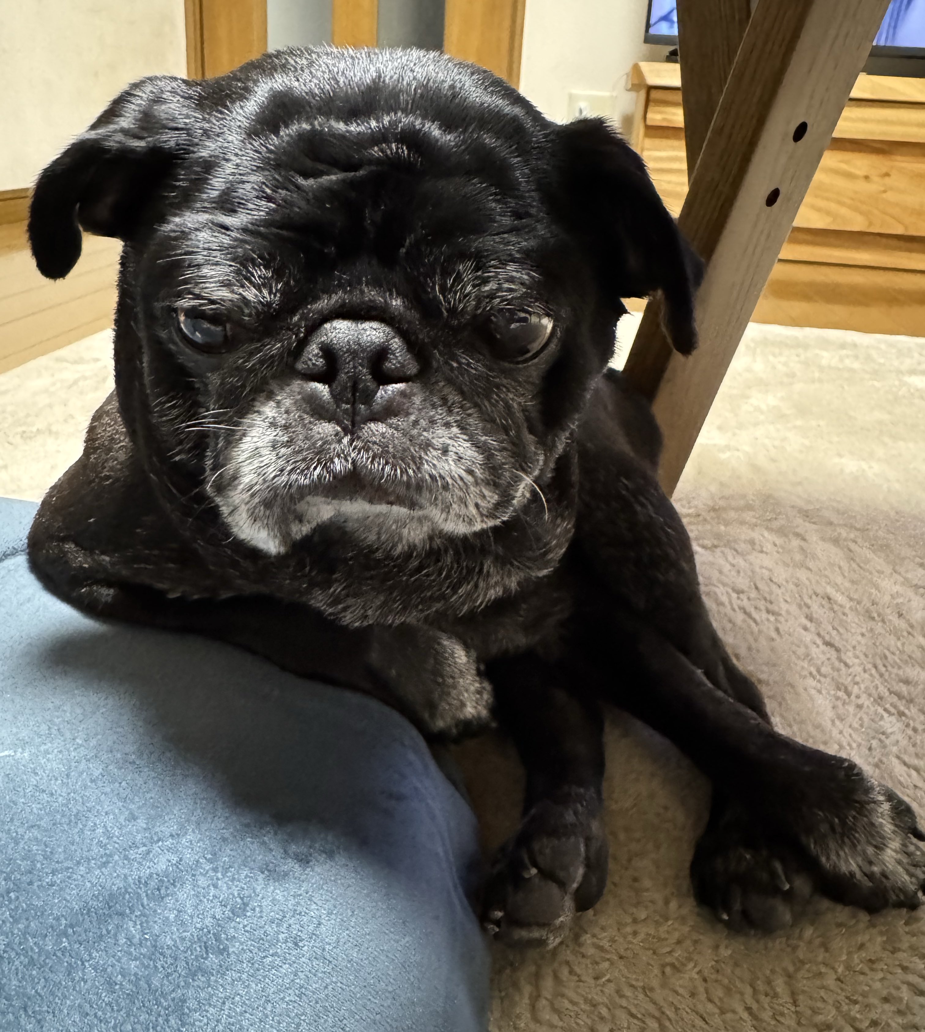 くろぱぐぐぅ on X: 