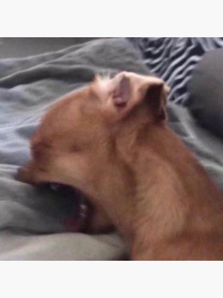 Picks de Tipsters GRATIS tweet media