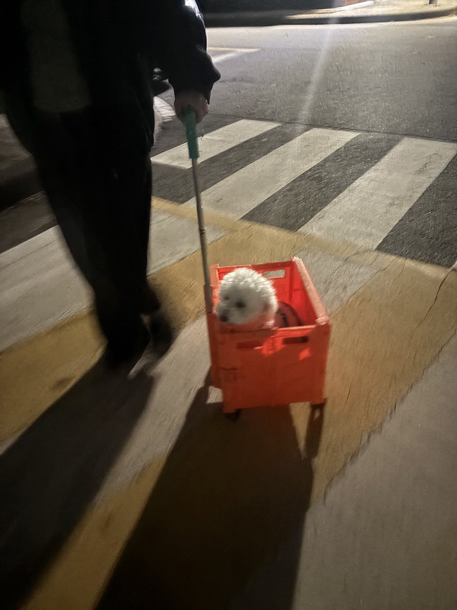 말썽쟁이 가나지 당근합니다 🥕🥕