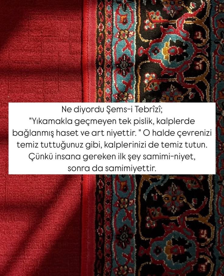Haletihissiyat's tweet photo. https://t.co/3iH31W2Jk4