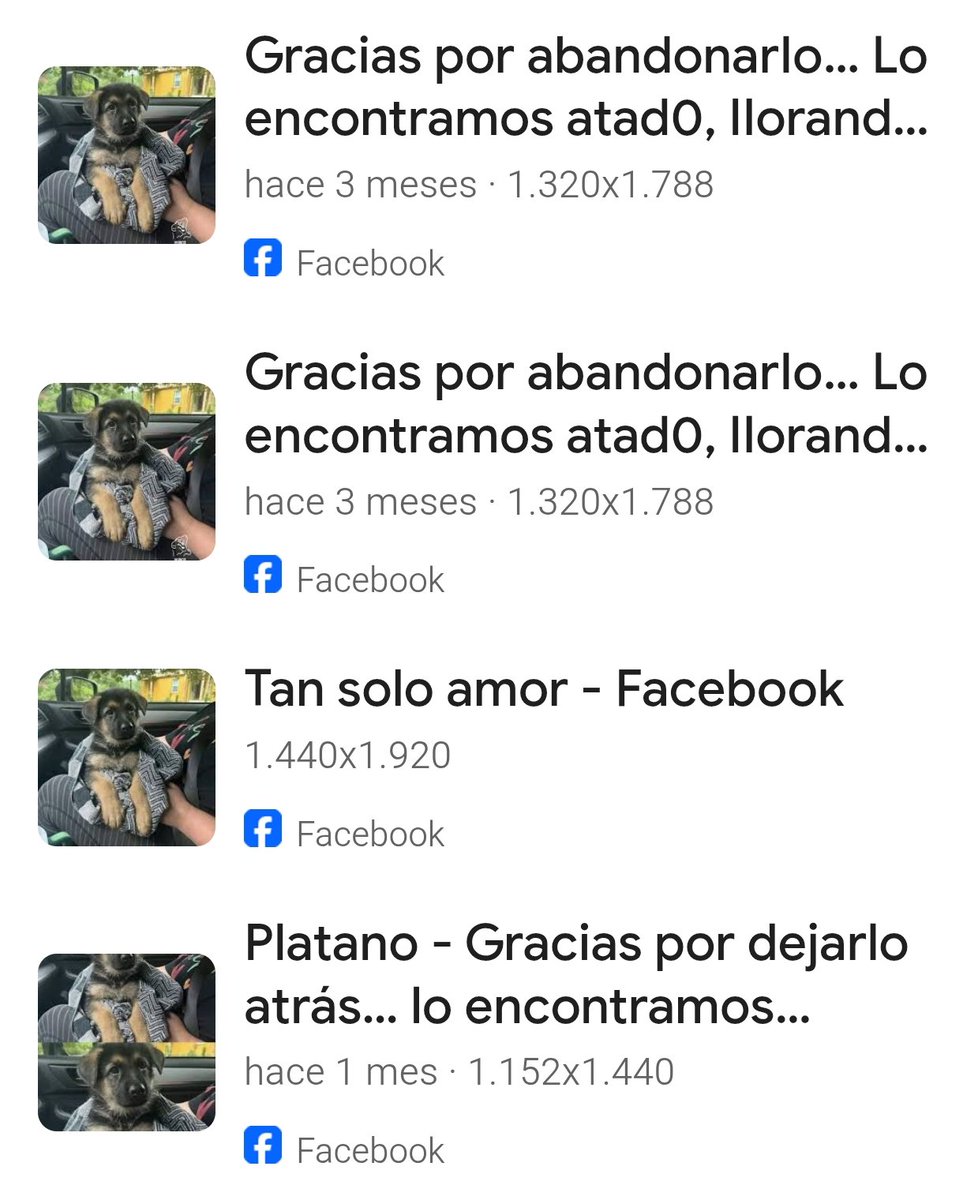 𝐁𝐚𝐫 𝐃𝐞 𝐏𝐮𝐞𝐛𝐥𝐨 tweet media