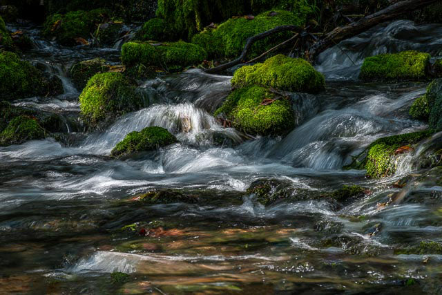 Bob Rickert tweet media