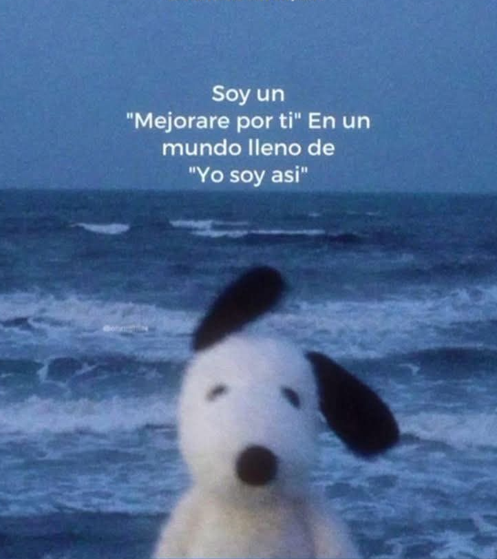 BANDIDOS (@bandidosfrasess) on Twitter photo 