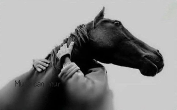 “Atlar yorulduğunu anlamadığı için koşarken çatlayarak ölebiliyormuş. Fedakarlık yaparken, kendimi ihmal edişim geldi aklıma...”