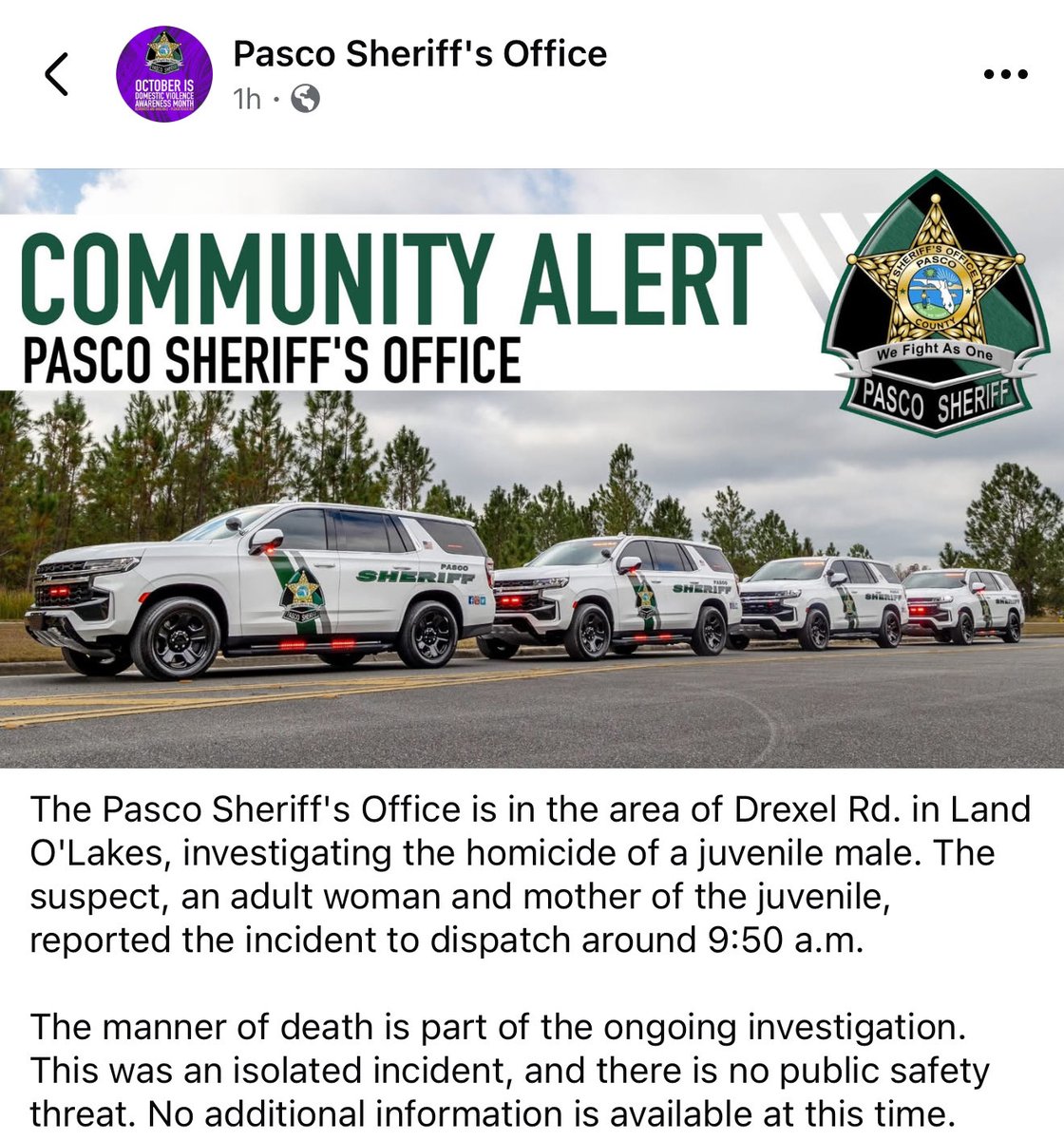 Danielle Zulkosky (@dzulkosky) on Twitter photo I am on my way to this crime scene. I’ll have more at 6 on <a href="/FOX13News/">FOX 13 Tampa Bay</a> and online as I learn it. I am on my way to this crime scene. I’ll have more at 6 on <a href="/FOX13News/">FOX 13 Tampa Bay</a> and online as I learn it.