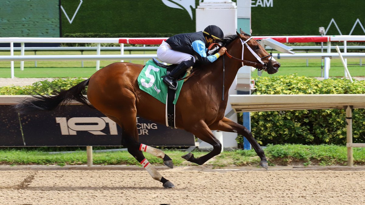 Gulfstream Park tweet media