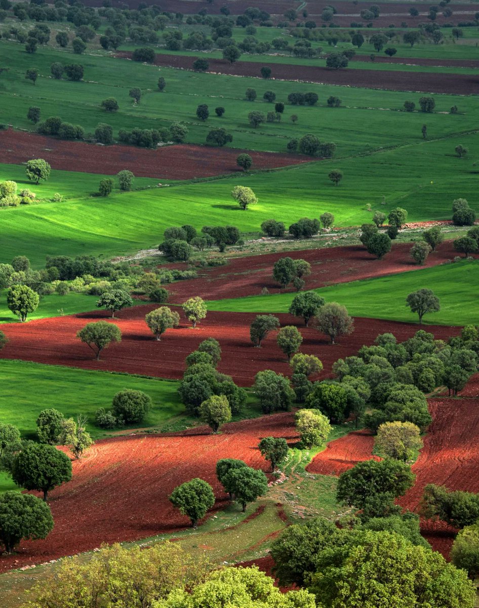 طبیعت زیبای لرستان
عکس: فرهاد کولیوند 
#لرستان #ایران_ببین