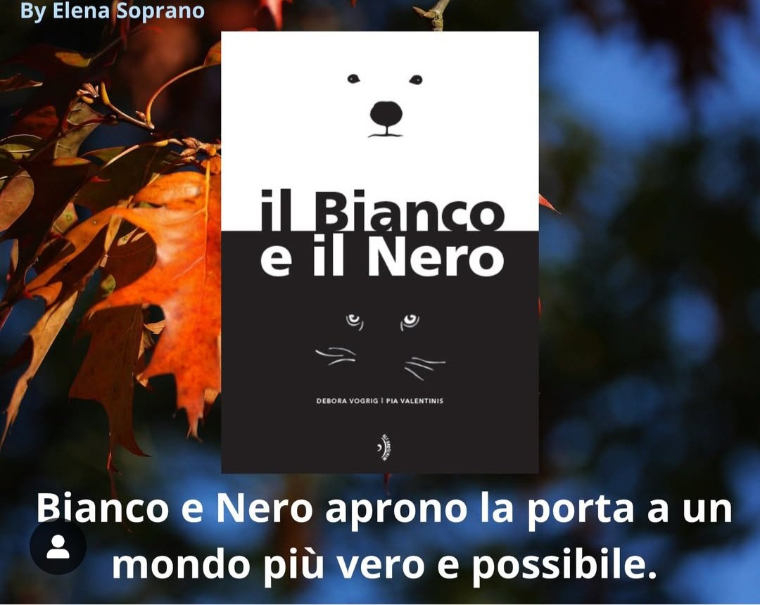 Bianco e Nero: protagonisti che giocano e si nascondono tra le pagine. Ne' rincorse ne' conflitti, solo lo spazio condiviso dove uno valorizza l'altro.
 Debora Vodrig e Pia Valentinis per Orecchio Acerbo
elenasopranolibri.com