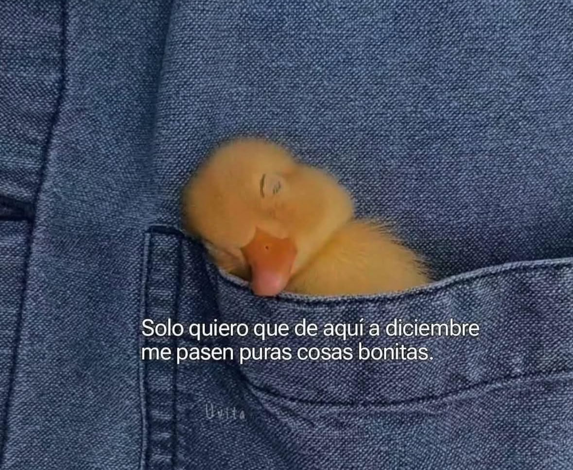 🙏🏻