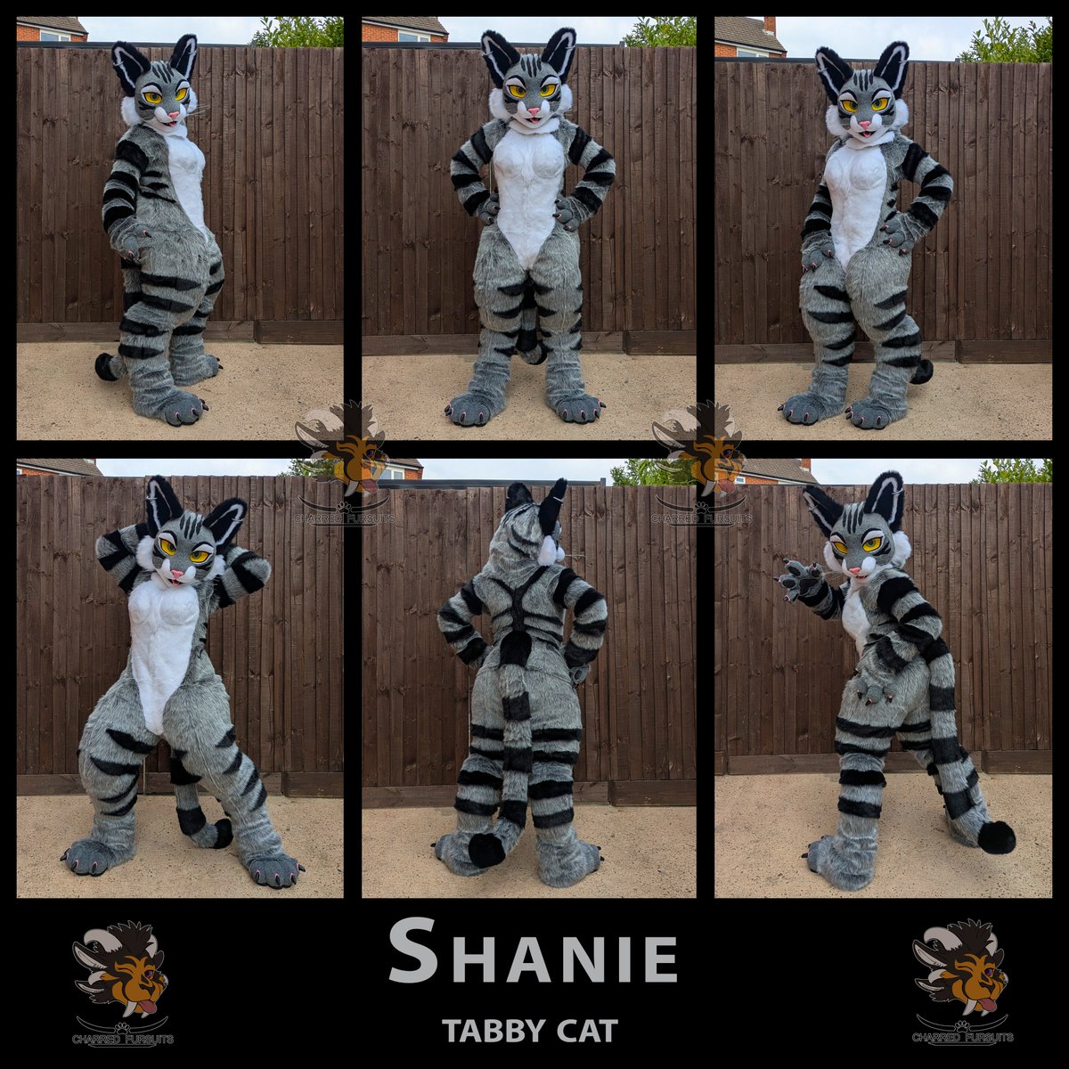 Cub π¬π§ πΊπ² (@charredfursuits) on Twitter photo Here's Shanie!
One of the newest members of the Charred Fursuits Family!
I love her modest breast padding :) This was my first attempt, and I'm pleased with how nice they look! Here's Shanie!
One of the newest members of the Charred Fursuits Family!
I love her modest breast padding :) This was my first attempt, and I'm pleased with how nice they look!