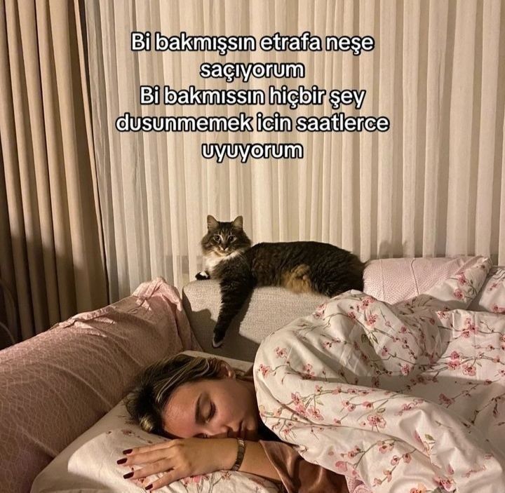 eylül, (@asikbeybi) on Twitter photo 