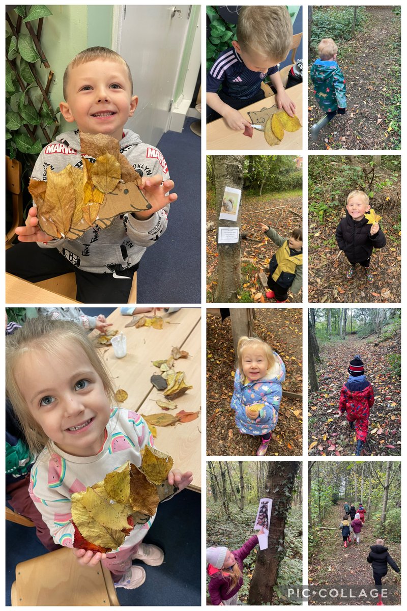 FlushdykeClass1's tweet photo. Class 1 had a fantastic outdoor learning day last week! We collected autumn items, made hedgehogs, self portraits and finished off with toasted marshmallows! 🌟 🍂 https://t.co/9B5TeoT0Wp