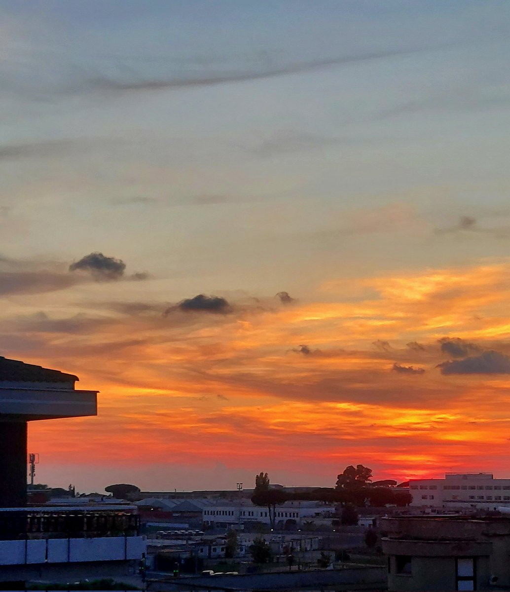 Maria Lea tweet media