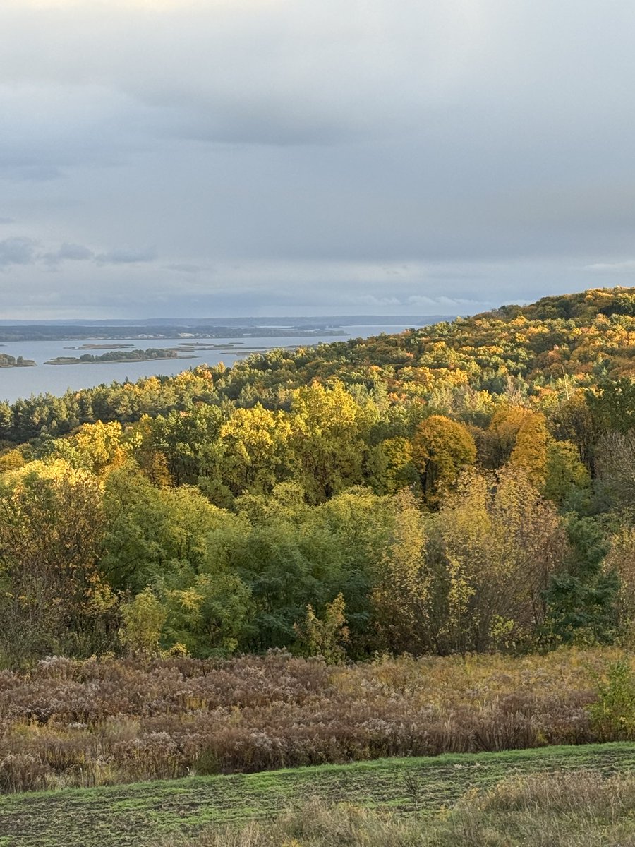 я уєв tweet media