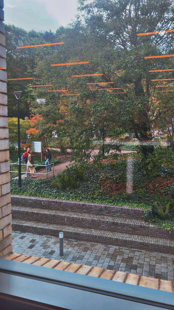 asmjohani's tweet photo. Fall 🍁🍂 https://t.co/vSuNnNwKNH