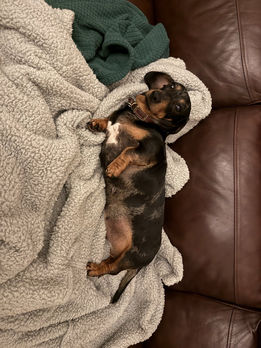 Bitsnark's tweet image. 