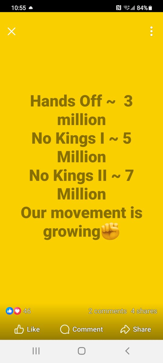 JanetLei5's tweet image. #NoKingsProtest