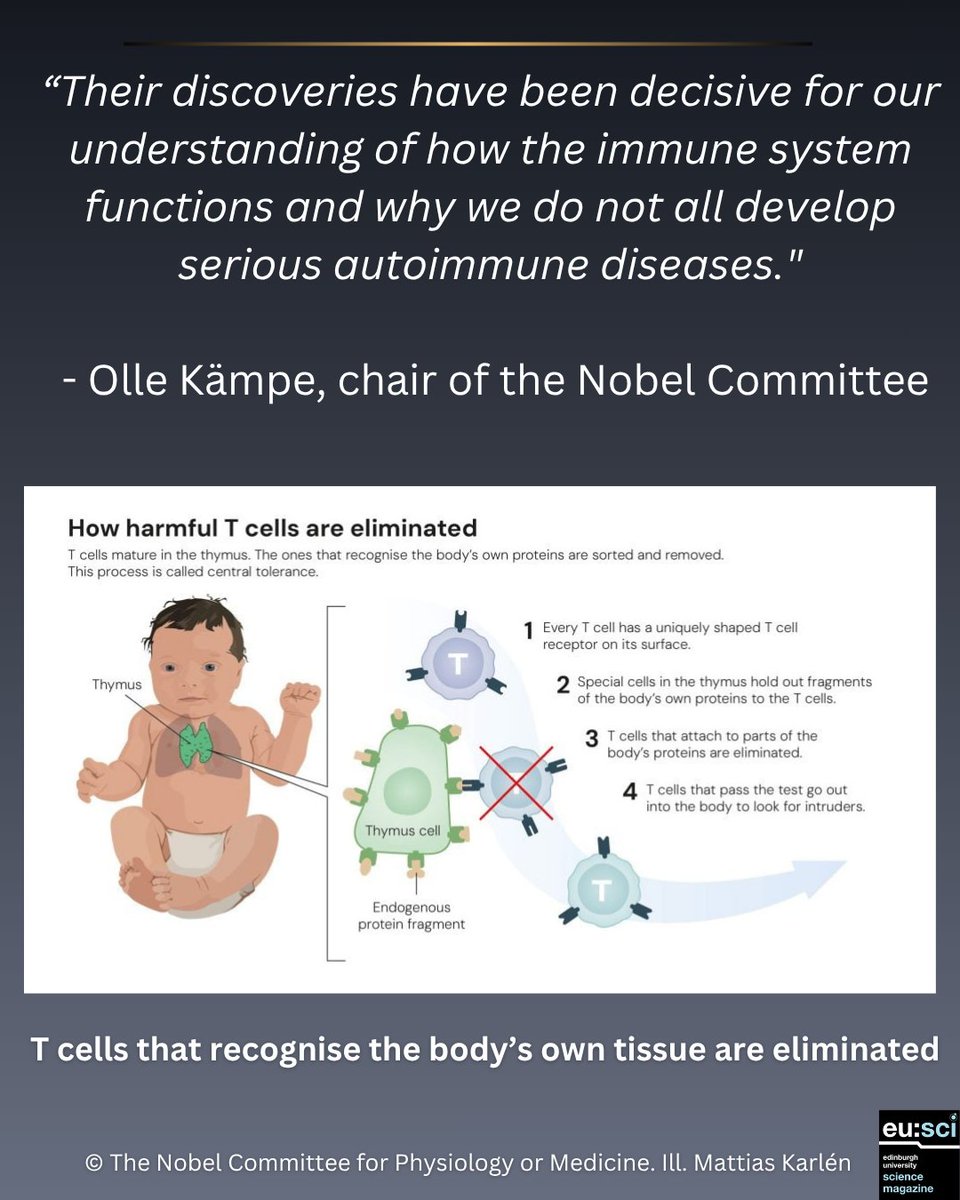 🎉 Congrats to the 2025 #NobelPrize winners in Medicine!

🏅 Mary E. Brunkow
🏅 Fred Ramsdell
🏅 Shimon Sakaguchi

Honored for discoveries in peripheral immune tolerance — how regulatory T cells prevent the immune system from attacking the body. 🧬👏 #Immunology #NobelPrize2025