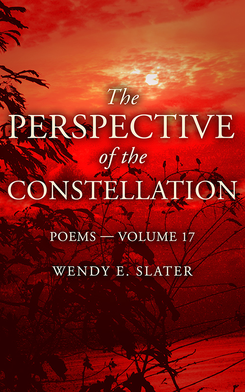 The Perspective of the Constellation 

Modern Mystical Poetry that unearths the shadows of family, societal, and cultural conditioning and brings healing and restructuring for the mind, heart and soul. 

Get your book here: books2read.com/Perspectiveoft…

#poetry #selfcare #mindbody