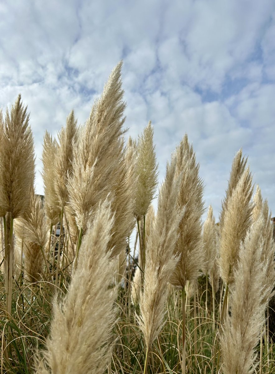 Sara Turle 💙 tweet media