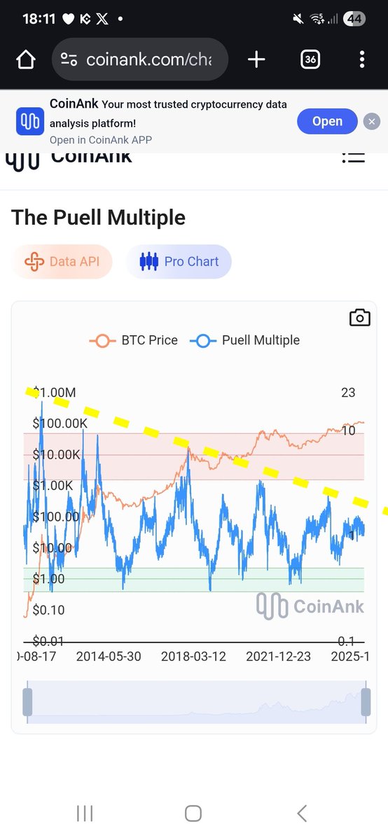 seliseli46 tweet media