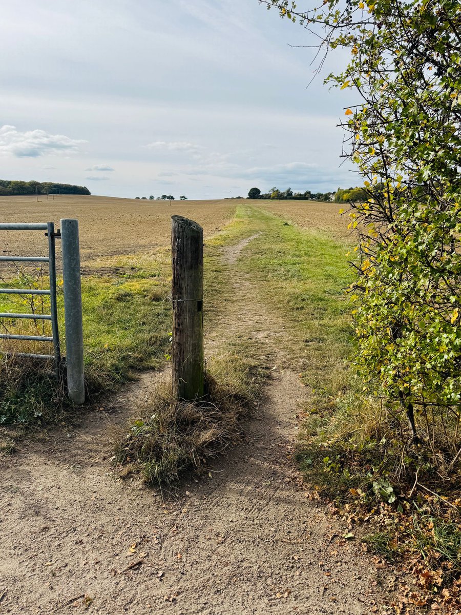 Julie Gooding tweet media