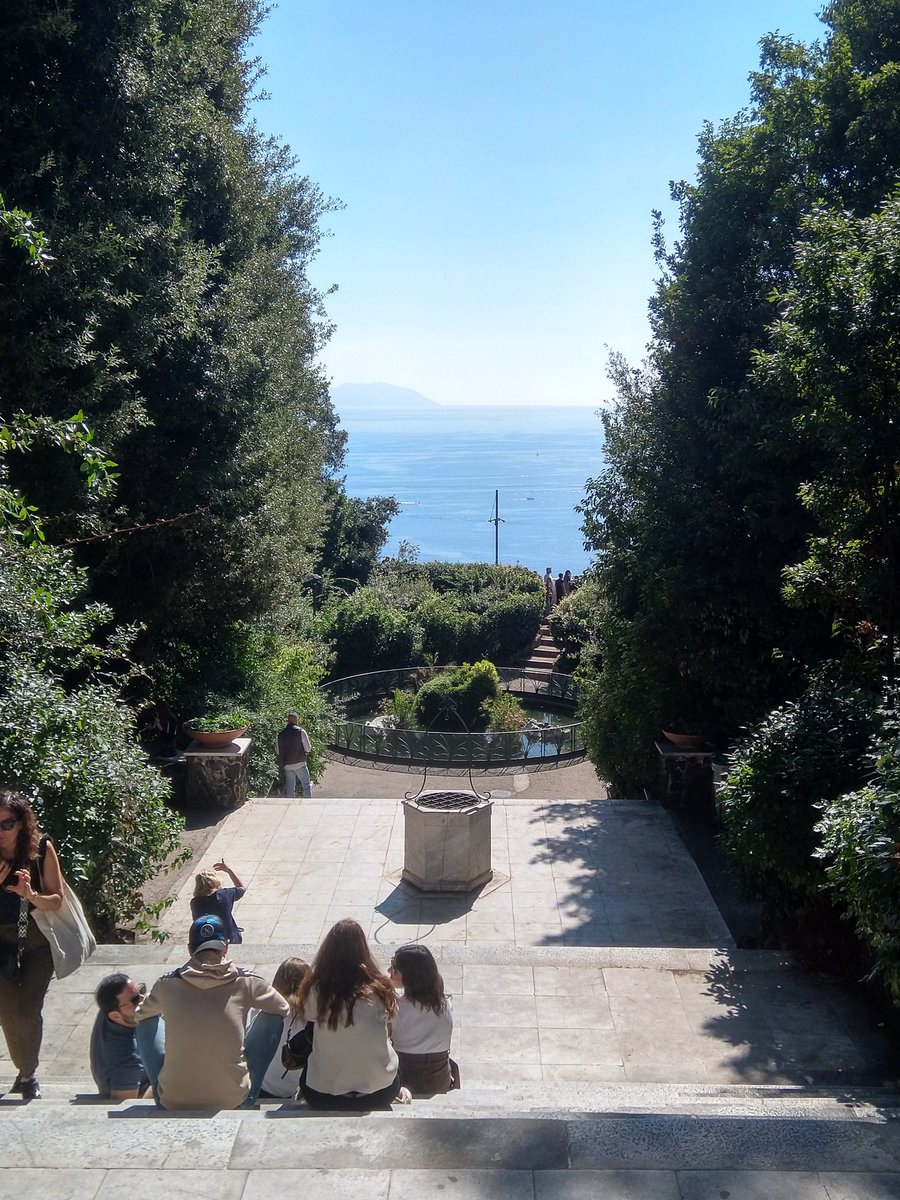 PizzyBoom's tweet image. Occhiali, tartarughe e panorami di domenica.