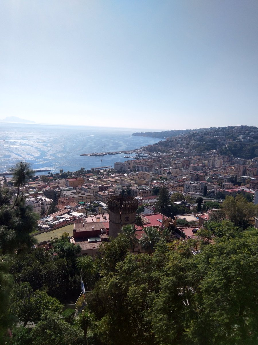 PizzyBoom's tweet image. Occhiali, tartarughe e panorami di domenica.