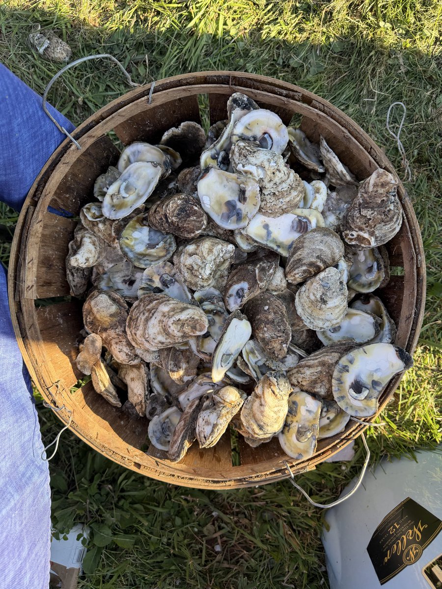 FlowGo37's tweet photo. 300 up 🦪
300 down 🦪
At the second annual @mulusbrand hunt club outing.
Thanks to all who came by. #ROAMFREE https://t.co/58eWWwf2Ph