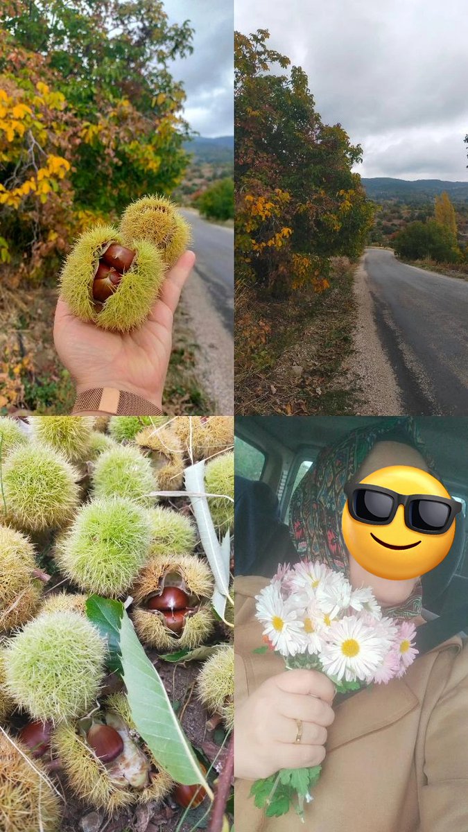Sonbahar dokunur kalbe sessizce,
Rüzgar yaprakla dans eder,
Vee Ben papatyalarla gülümserim 😜😁🍁🌼

Eylülzede çalıyor fonda 🎶