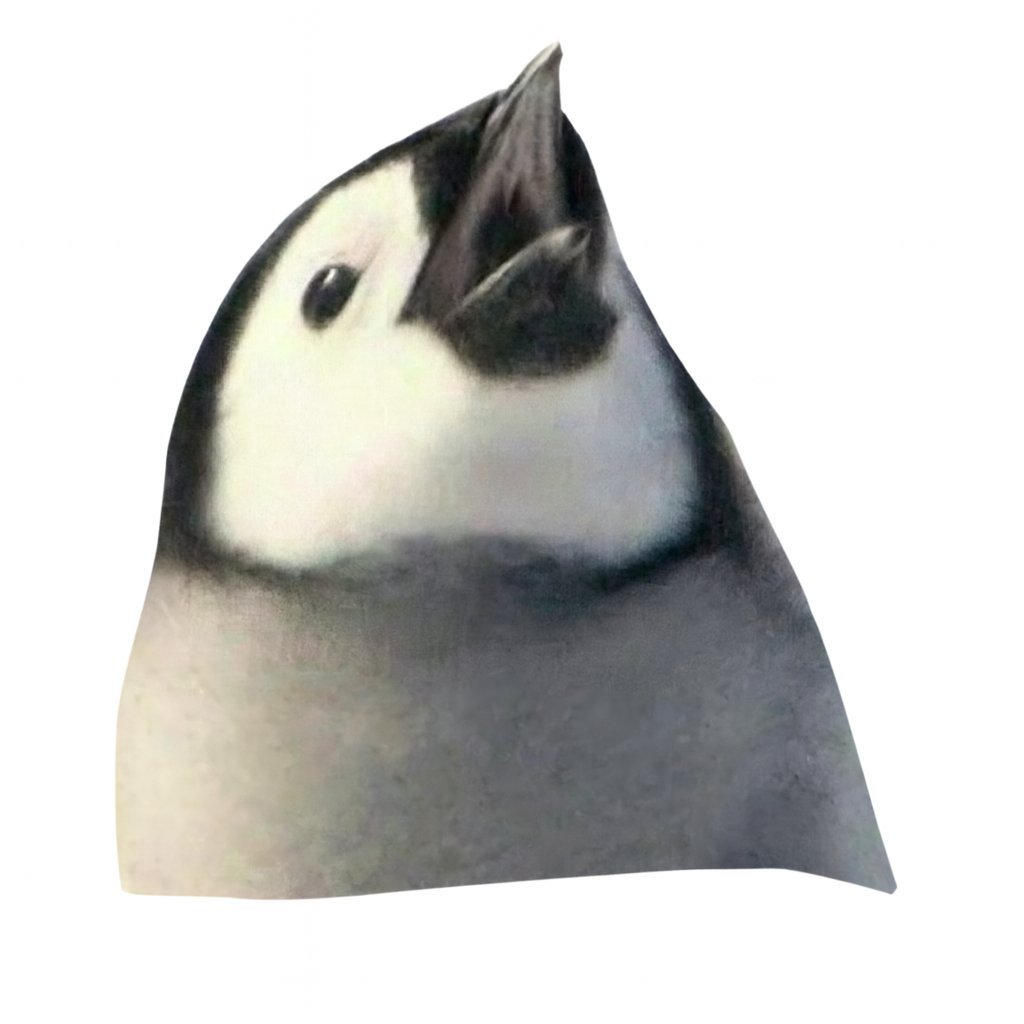 ddong7485 tweet media