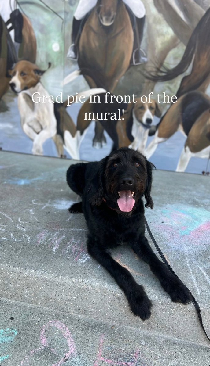 ❤️‍🔥❤️‍🔥 
New week, new stuff 😗😈
Slide in for mega links sweethearts 🐾 
#doglover #dogslut #knotty #k9girls #dogbitch #aoz #artofzoo #k9slut #zoolove #doggy #Horsegirl #Animalporn #Animalsex #Zootube #Teens #ZooRp #Zoosex ⬇️

t.me/Bella_knotts