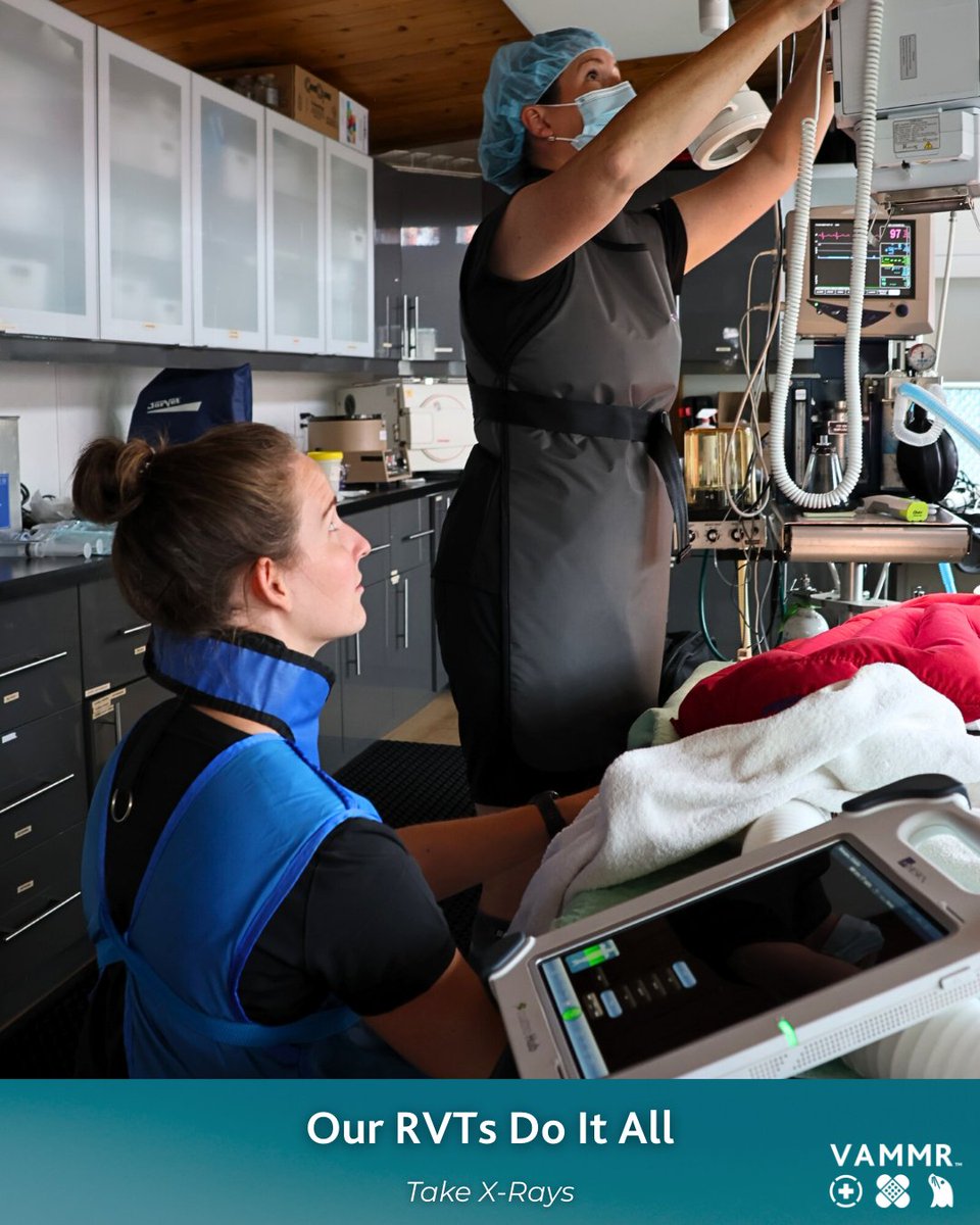vammrs's tweet image. Vet techs are crucial to the work we do! 

#vetmed #vettech