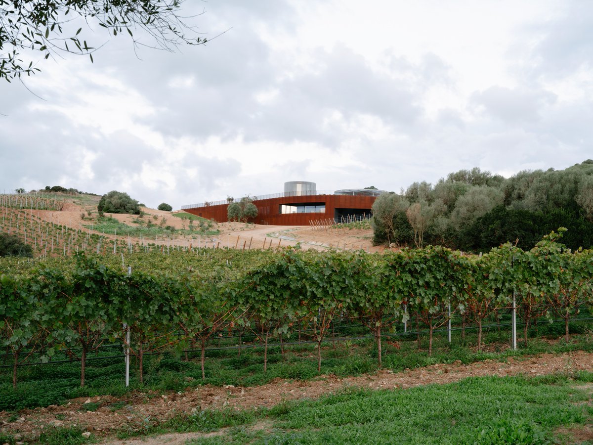 illustrarch's tweet image. Winery Tenute Maestrale by Spaziozero & X Architekten
#industrial #architects #design #architecture #illustrarch
