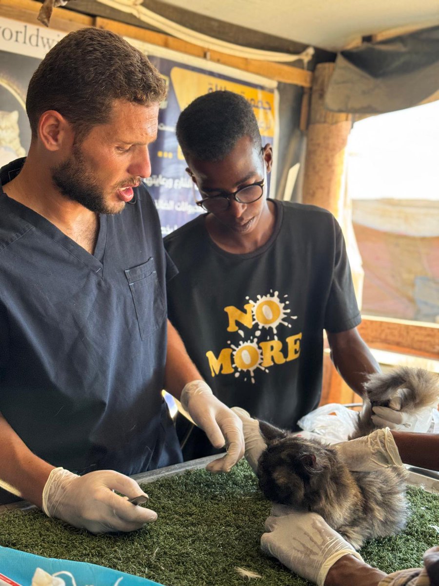help cats (@helpcatsmsallam) on Twitter photo With great sadness and sorrow,I offer my condolences to <a href="/SulalaSociety/">Sulala Animal Rescue</a> And the family of Dr. Moaz for his martyrdom..
The news of Dr. Moaz's death has been confirmed. I can attest that he was a kind person, loved animals, and worked tirelessly..
Dr. Moaz, may you rest in peace🥺 With great sadness and sorrow,I offer my condolences to <a href="/SulalaSociety/">Sulala Animal Rescue</a> And the family of Dr. Moaz for his martyrdom..
The news of Dr. Moaz's death has been confirmed. I can attest that he was a kind person, loved animals, and worked tirelessly..
Dr. Moaz, may you rest in peace🥺