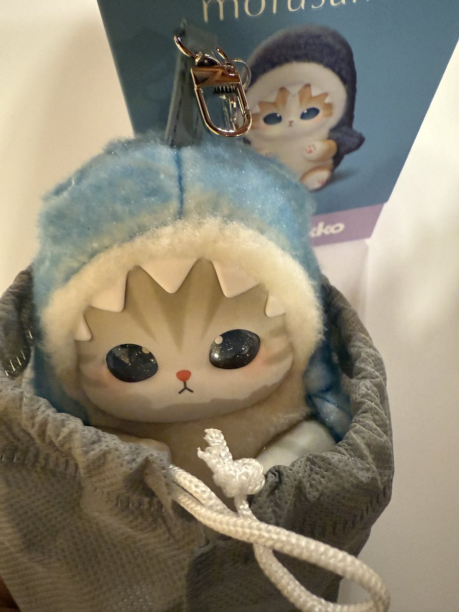 potsutaaaa's tweet photo. モフサンド交換

mofusand kiramekko
モフサンド きらめっこ

譲)ジンベエザメにゃん×2、うさにゃん

求)オオカミにゃん、パンダにゃん＞サメにゃん

1：1でのお取引

都内または千葉手渡し＞郵送 https://t.co/RuHHmSb7lk
