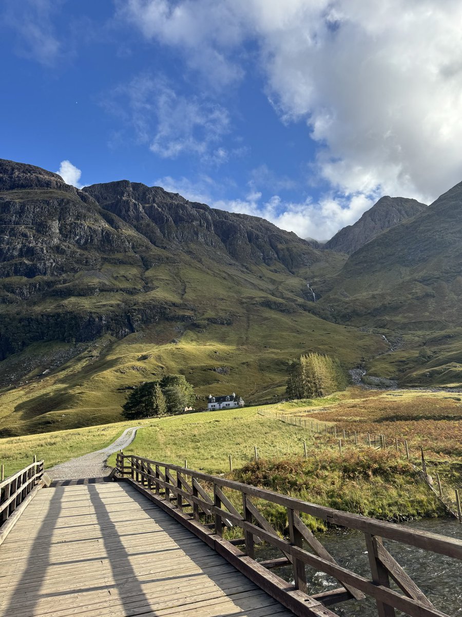 James Telfer tweet media