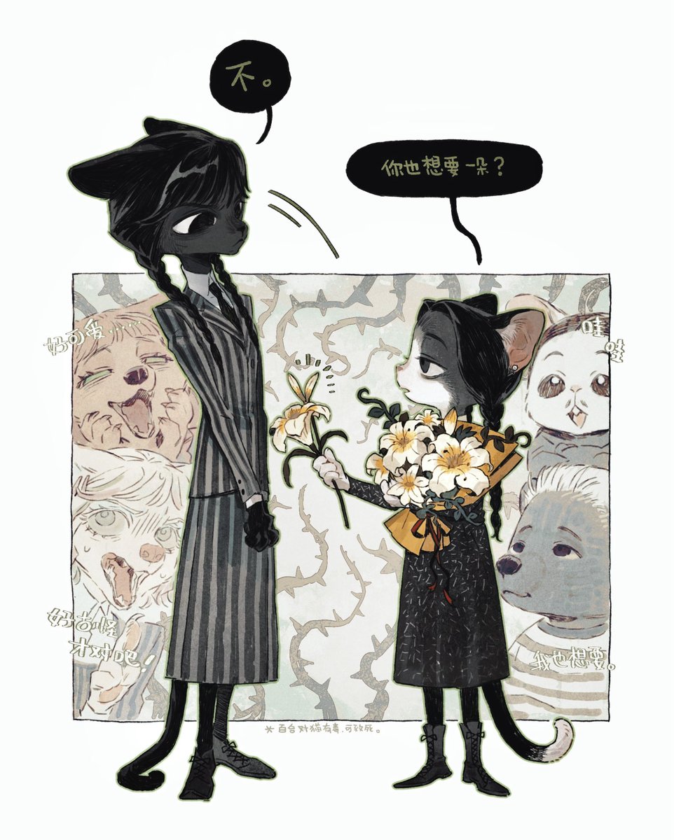 奶牛猫