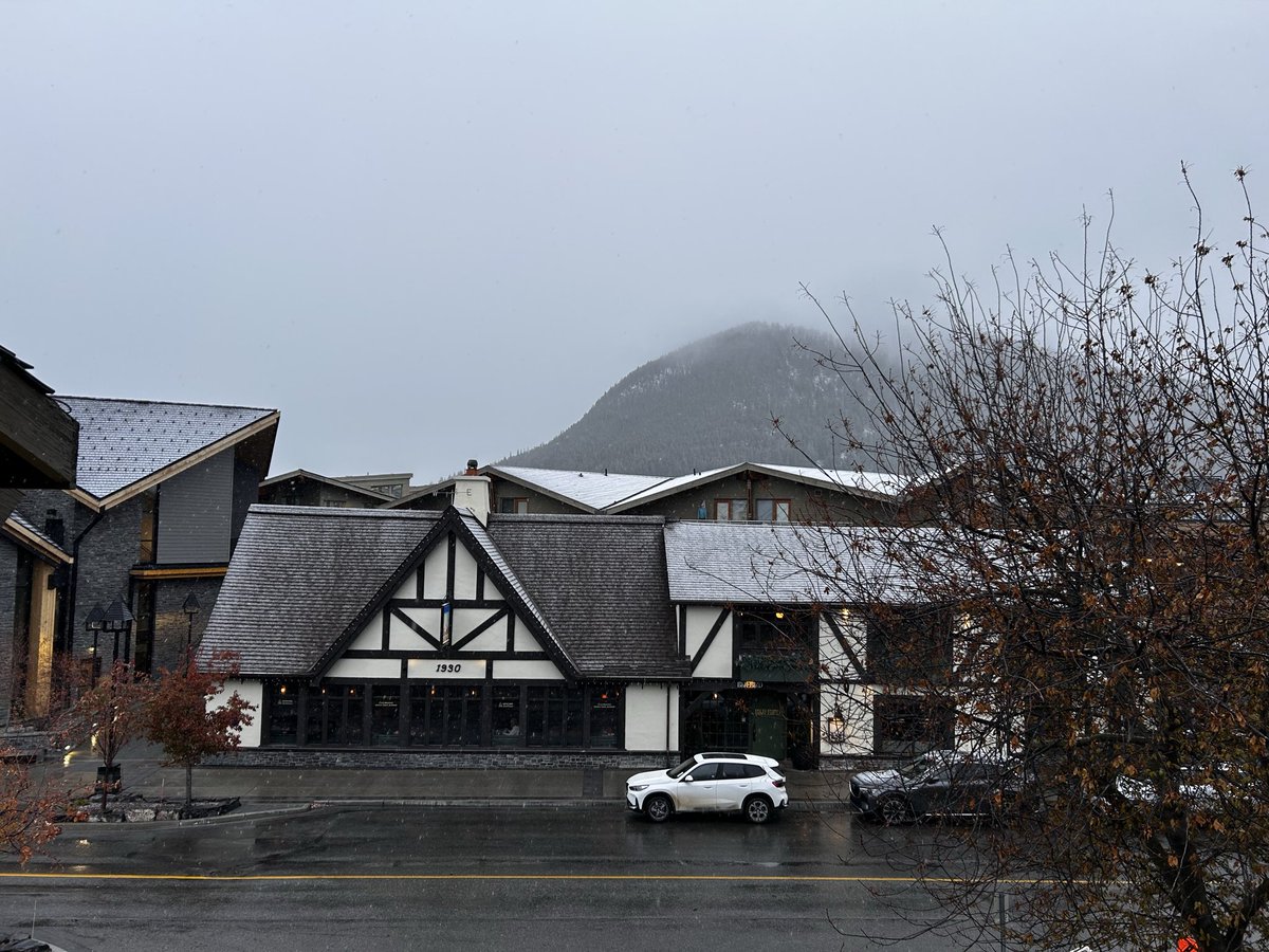 master___joe's tweet image. Banffは朝から雪でした❄️