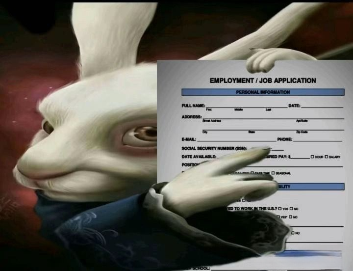 teecastt's tweet image. los de organico despues de ese primer ganador