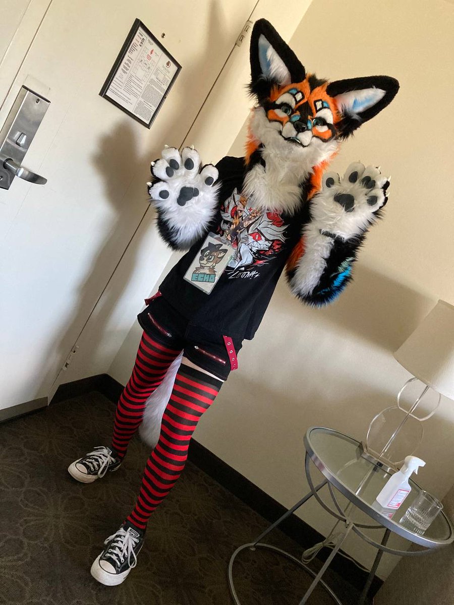 Echo 🦊 tweet media