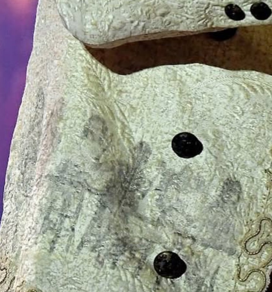 panicatthejam's tweet image. brendons blazer has the album on it 😭😭😭