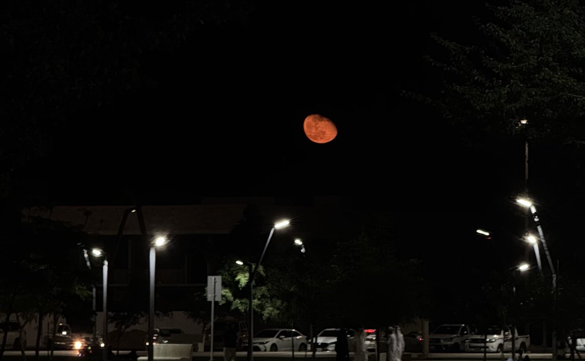 a (@vwzea) on Twitter photo 